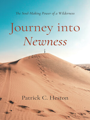 cover image of Journey into Newness
